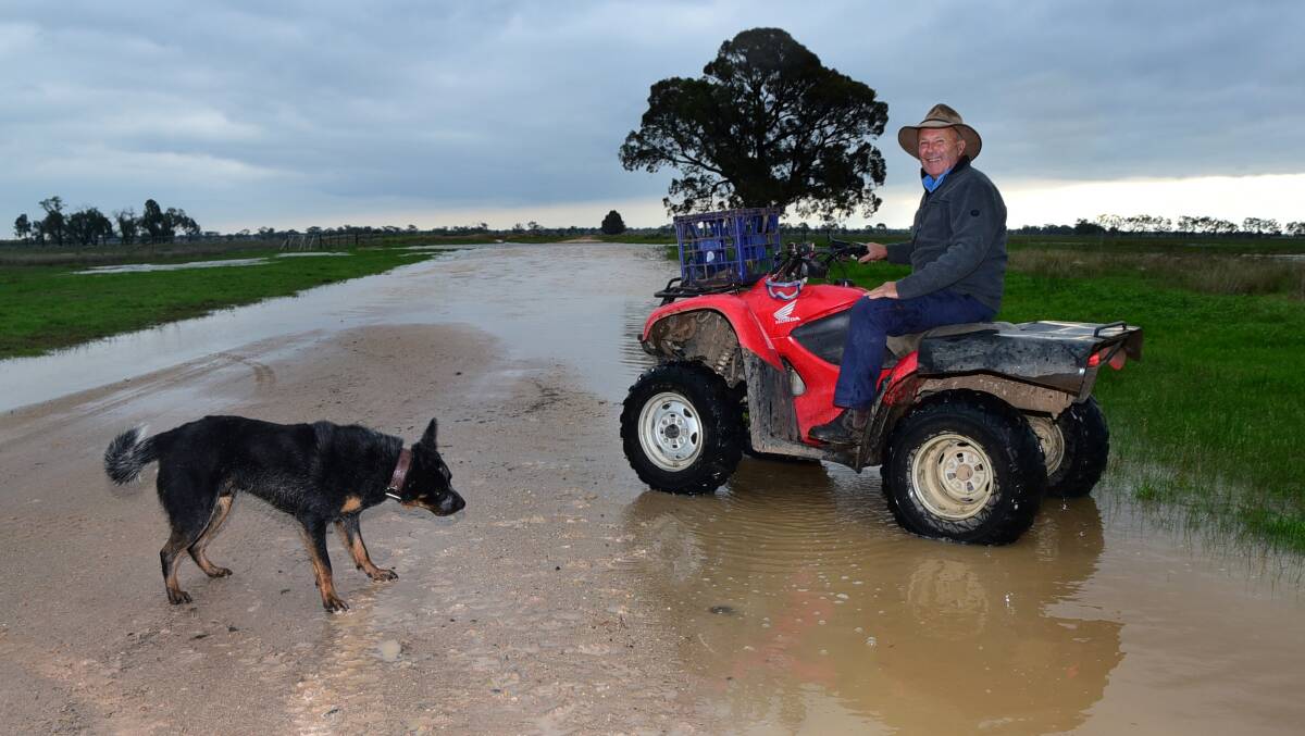Farmer and grazier Robert Shanks, at his property north-west of Dubbo with Bruce the working dog, says the rain is delaying some sowing of winter crops, but overall is an enormous plus for the industry. Photo: BELINDA SOOLE 