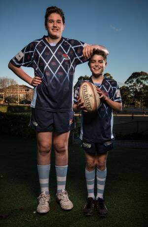 Angus Talbot (left) and Luke Harrison are both 14 and both play for the Lindfield Junior Rugby Club. Luke has just been withdrawn from the comp by his ex-Waratah dad because his dad thinks the game has become too dangerous. Photo: Wolter Peeters
