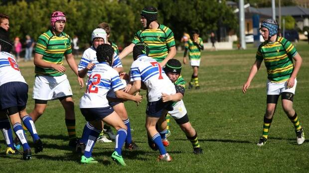 Players in the NSW Junior Rugby State Championships at Drummoyne on Saturday. Photo: James Alcock