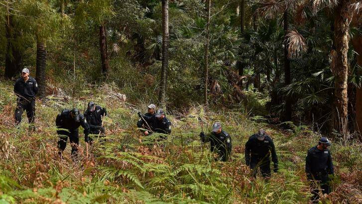 Police conduct a line search in the Royal National Park for the remains of Matthew Leveson. Photo: Kate Geraghty