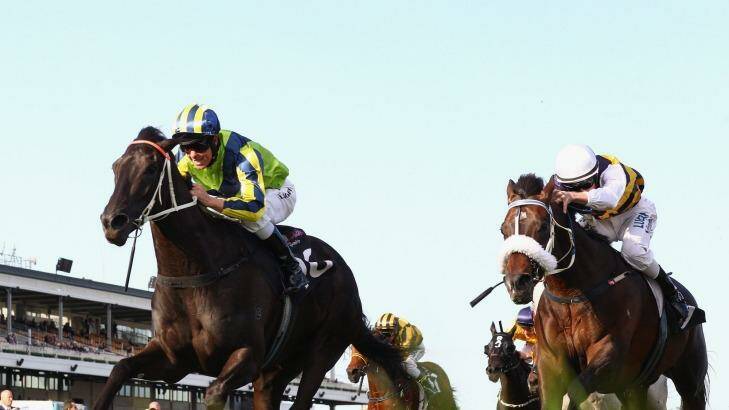 Fast finisher: Kerrin McEvoy drives Lucia Valentina (left) to victory in Turnbull Stakes. Photo: Getty-Images