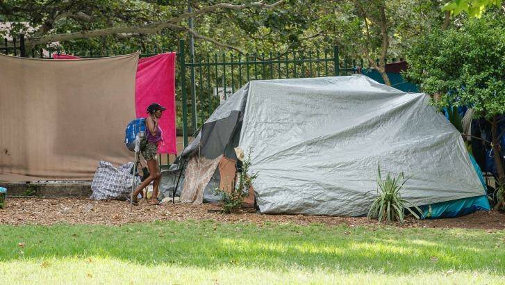 Homeless camps in Belmore Park in Sydney's Haymarket. Photo: Christopher Pearce