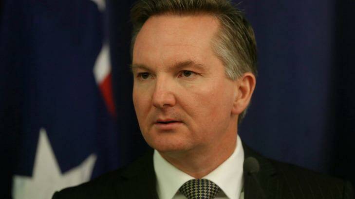 Shadow Treasurer Chris Bowen has launched a stinging attack on internal warfare inside the NSW Greens. Photo: Alex Ellinghausen