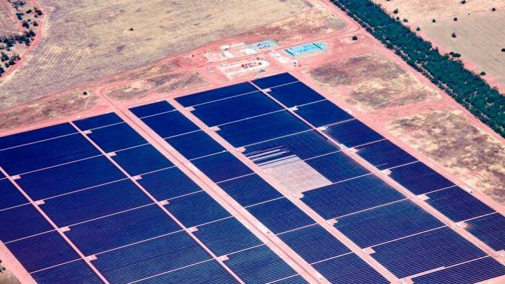 AGL's solar plant at Nyngan is Australia's largest at 102 megawatt-capacity. Photo: AGL