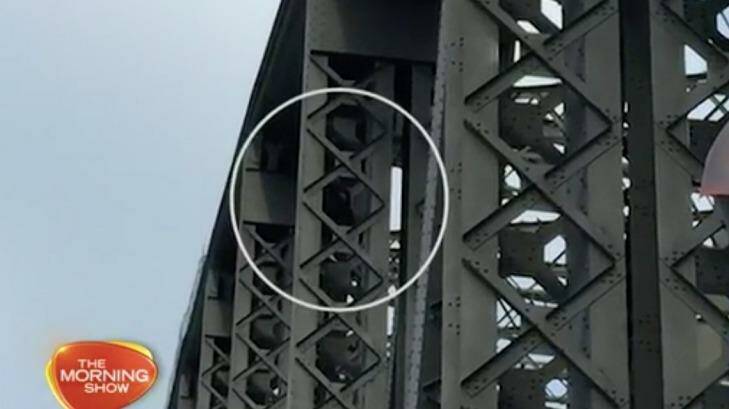 A man has climbed the arch on the Sydney Harbour Bridge. Photo: The Morning Show/ Channel 7