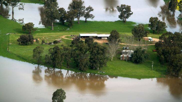 Wagga has been hit by flooding with a further "burst" of rain expected this weekend. Photo: Stephen Mudd