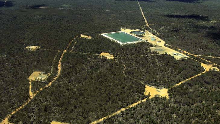 New CSG water spillage: The Pilliga forest. Photo: Dean Sewell