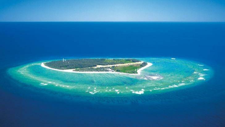 Discover the spectacular coral at Lady Elliot Island. Photo: Tourism and Events Queensland