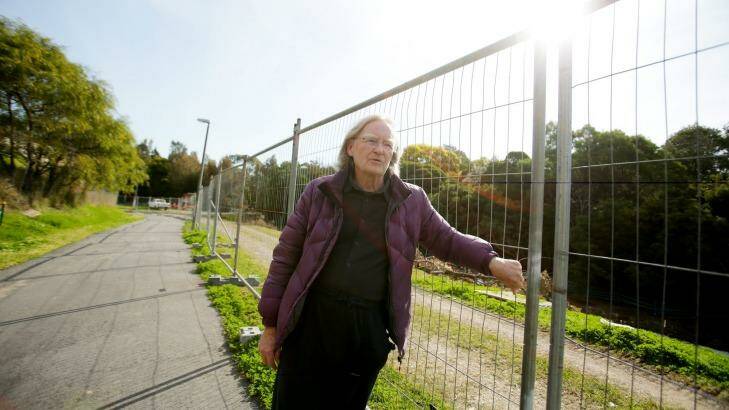 Peter Stevens at the site of woodlands due to be cleared. Photo: Chris Lane