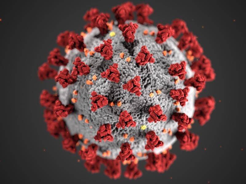 Illustration of the novel coronavirus, which causes COVID-19.