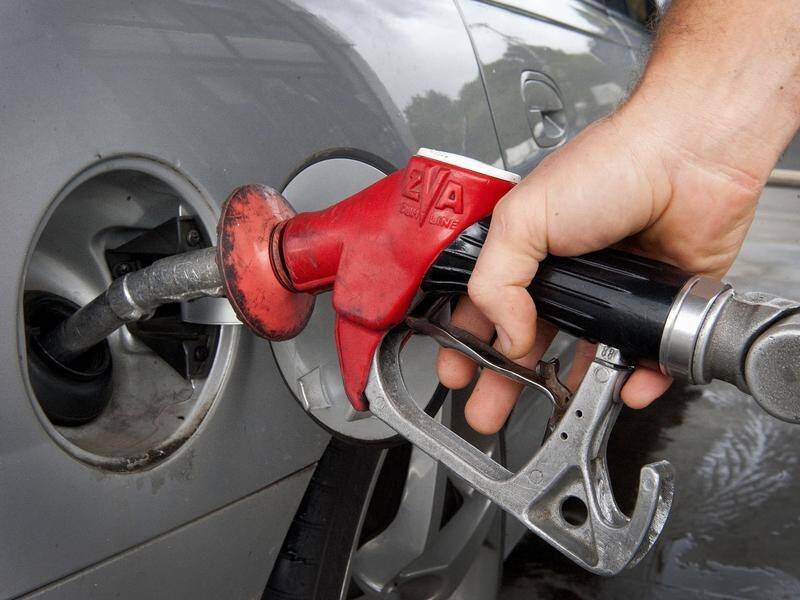 Queensland government ministers are in talks with the state's motoring body to lower fuel prices.