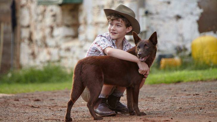 Levi Miller and dog in Red Dog True Blue. Photo: ROADSHOW FILMS