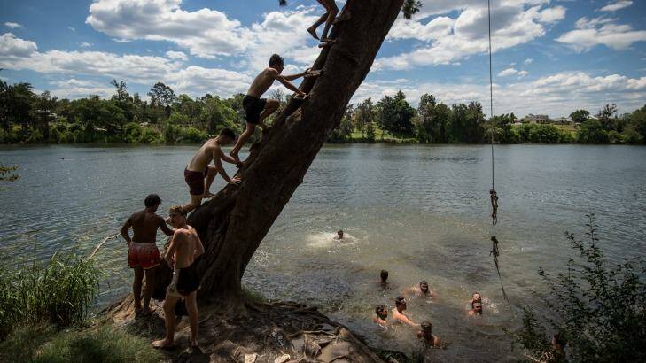 Kids swim in the Nepean River at Penrith as the temperature hits over 40 in the west. Photo: Wolter Peeters