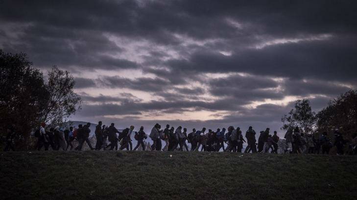 Migrants in Slovenia head towards a registration camp, with reports predicting the number of displaced people globally will only rise. Photo: Sergey Ponomarev