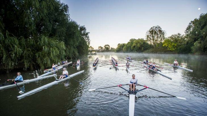 Rowers celebrate the 50th anniversary of rowing on Lake Burley Griffin. Photo: Rohan Thomson