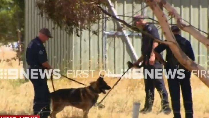 Police at the Young property.  Photo: Nine News