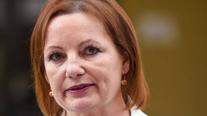 Sussan Ley has resigned after a furore over her travel expenses. Photo: Mark Jesser