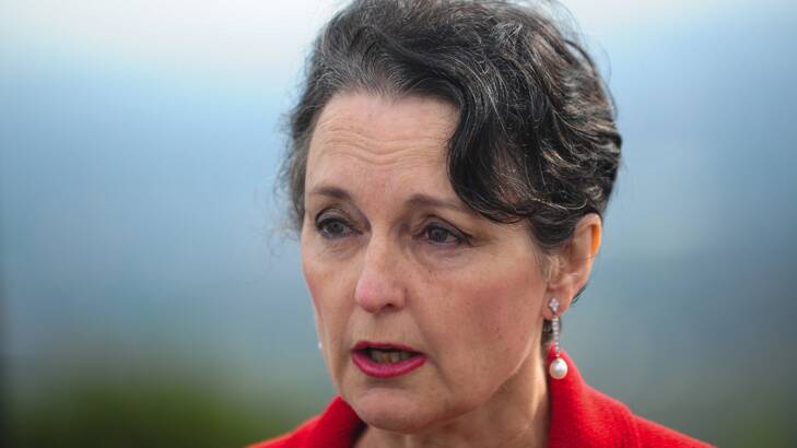 New Planning Minister Pru Goward won't find support for the government’s signature planning reforms from key crossbench MPs. Photo: Katherine Griffith