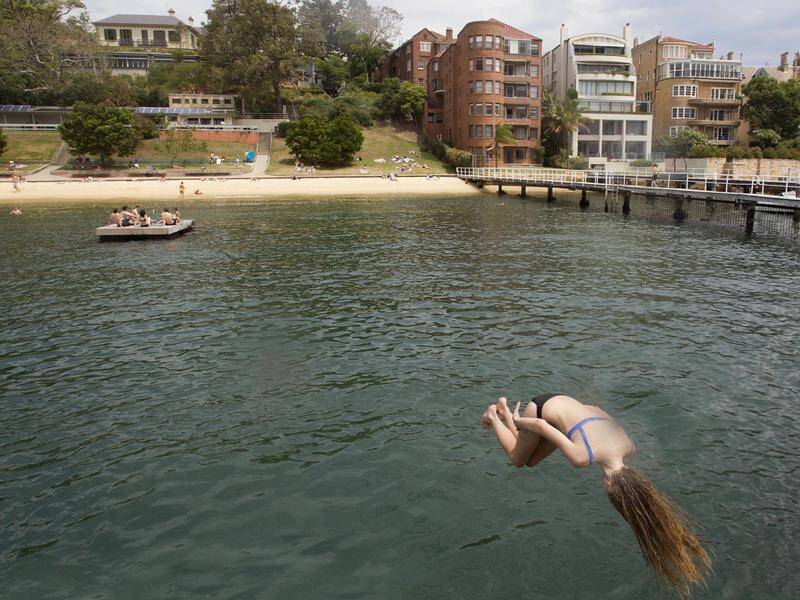 Woollahra Council has opened beaches for swimming in Rose Bay, Watsons Bay and Double Bay.