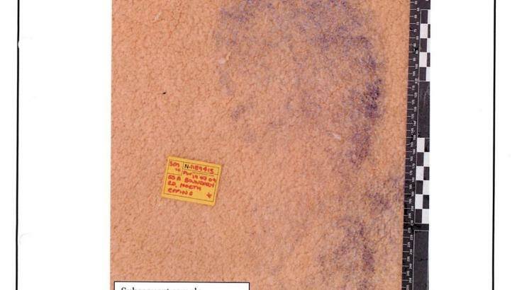 A photo of bloodied footprints found in the bedroom of victims Min and Lily Lin.  Photo: Supplied