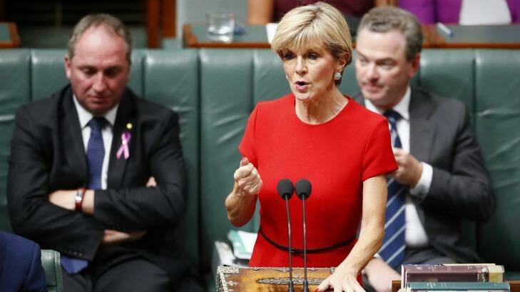 "I have expressed my concerns about the situation in Rakhine State": Foreign Minister Julie Bishop. Photo: Alex Ellinghausen
