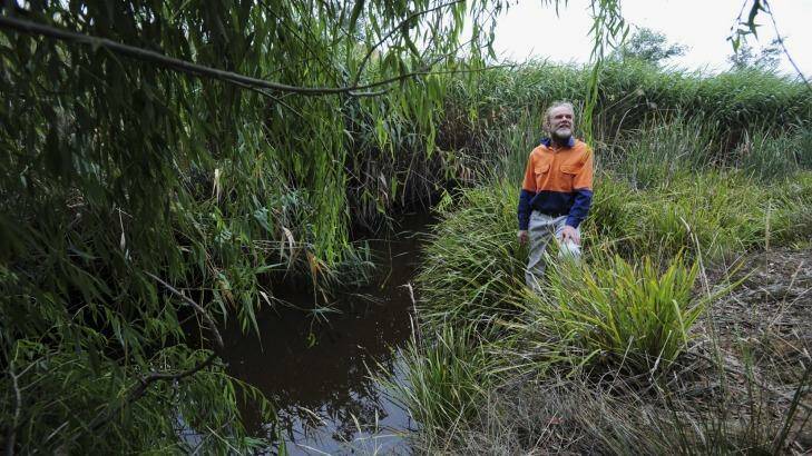 Conservationist Phillip Fowler on his property near Blakney Creek, north-east of Yass.  Photo: Graham Tidy