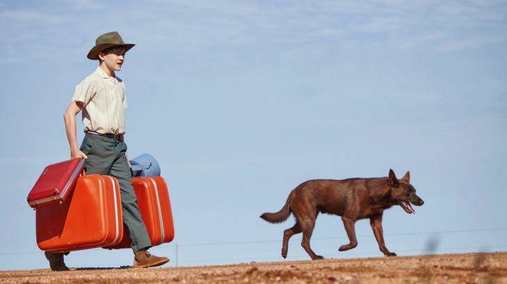 Levi Miller stars as Mick, the young boy who befriends a young kelpie, in Red Dog: True Blue. Bryan Brown and Syd Brisbane also star. Levi Miller plays Mick and Phoenix is Blue in Red Dog: True Blue. Photo: Roadshow