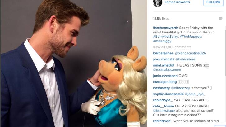 Liam Hemsworth is Miss Piggys' rebound.