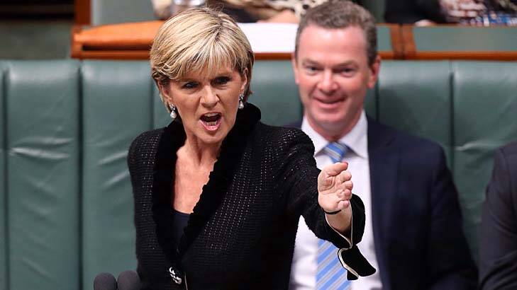 Diplomatic spat: Australian Foreign Minister Julie Bishop. Photo: Andrew Meares