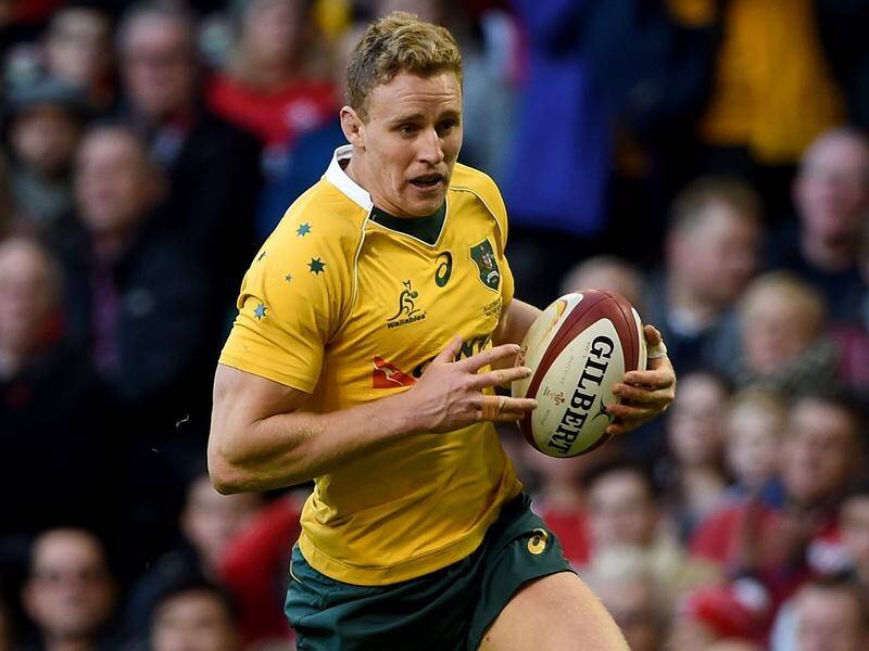 Wallabies' Reece Hodge says Ireland will try to knock off Australia in their June Test series.