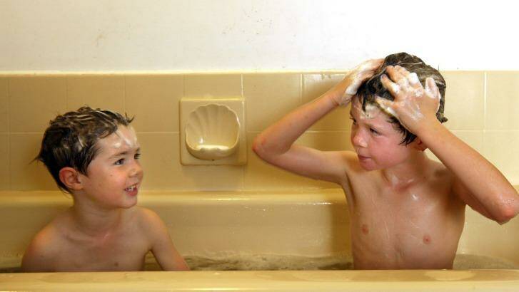 Common lice treatements using chemicals have become less effective. Photo: Penny Stephens