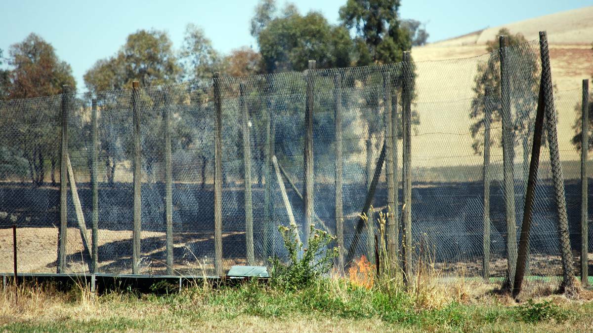 COWRA: Pine Mount Road and Kangaroo Flat Road residents near Cowra must have been holding their breath on Sunday when flames raced across nearby paddocks – in one case reaching only metres away from buildings at Weigelli Centre.