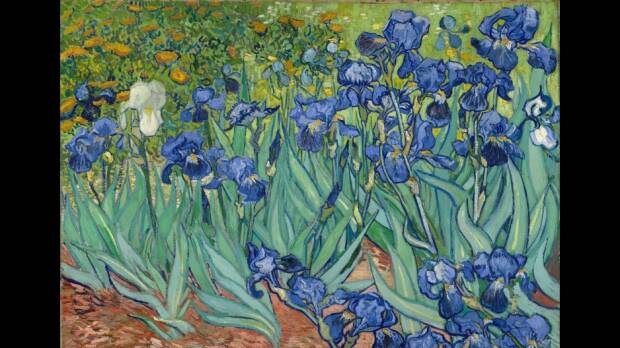 Alan Bond's acquisition of Vincent van Gogh's Irises in 1987 for $US53.9 million, made it the world's most expensive painting of the time.