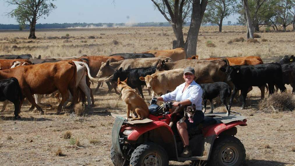 NARROMINE: Lara Quealy is feeling the effects of the drought on her property at Gin Gin.