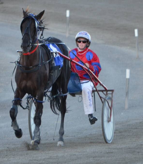TRIPLE THREAT: Gold Tiara winner Pixies Parlour will be one of three Steve Turnbull-trained runners taking on Sunday’s Group 1 NSW Breeders Challenge Three Year Old Fillies Final (1,609 metres) at Menangle. Photo: ANYA WHITELAW 	031915ypixie2