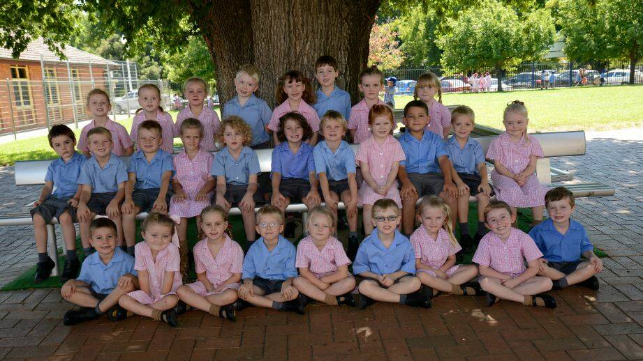 CATHEDRAL SCHOOL: Front row, Angus O'Shannessy, Chevy Dowling, Evie Lynch, James Billington, Layla Liston, James Sherlock, Paige Carroll, Paige-
Louise Berendt and Hayden Watson. Middle row, Joseph, Harley Sargent, Bailey Crawford, Abigail Smith, Jack, Tom McRobert, Darcy Fish, Marie Clayton, Samuel Lane, Michael Clark and Audrey Peters. Back row, Jacinta Knight, Brilea McNicol, Phoebe Forbes, Dominic Jones, Charli Malone, Rowan Baldwin, Sophie Windsor and Tahlia Nelson. (KS) 021114pcath2