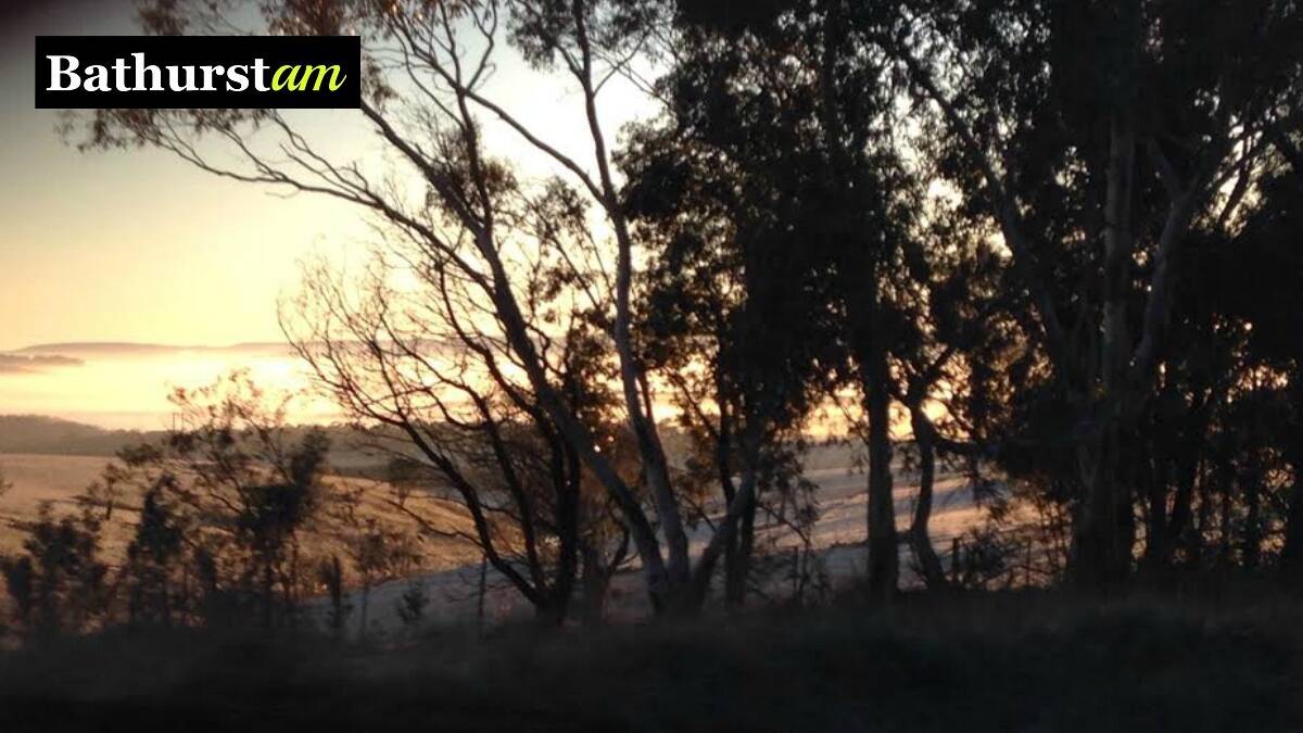 This morning's beautiful photo is from Sheree Ashcroft. Thanks for sharing, Sheree! If you have a photo you would like to share email it to acoomans@fairfaxmedia.com.au
