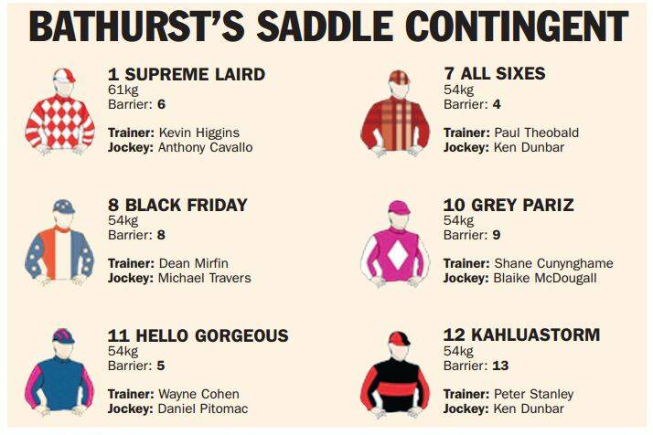 Bathurst-trained horses make up almost half of the 14-strong field for the 2014 Soldier's Saddle. 