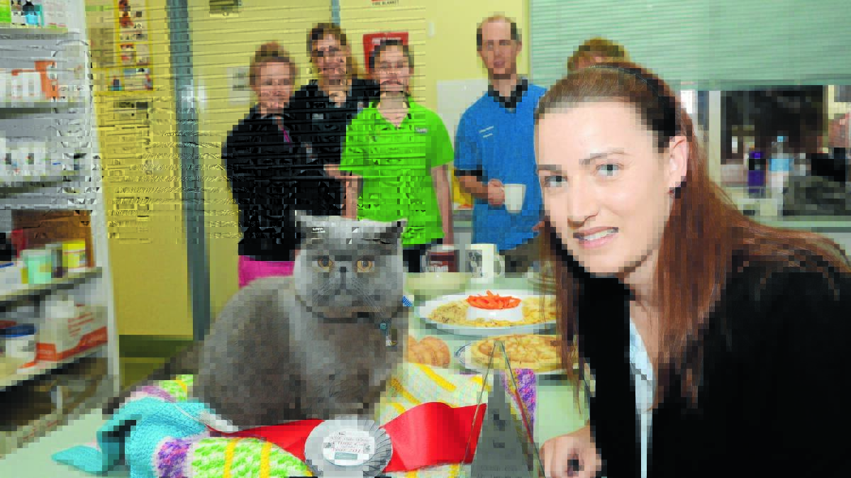 WINNING GRIN: Buttons the cat from Stewart Street Veterinary Hospital, who has been voted equal first in the Clinic Cat of the Year competition for NSW, with Dermcare Vet representative Kylie Drake. Photo: PHIL MURRAY 072915pbuttons
