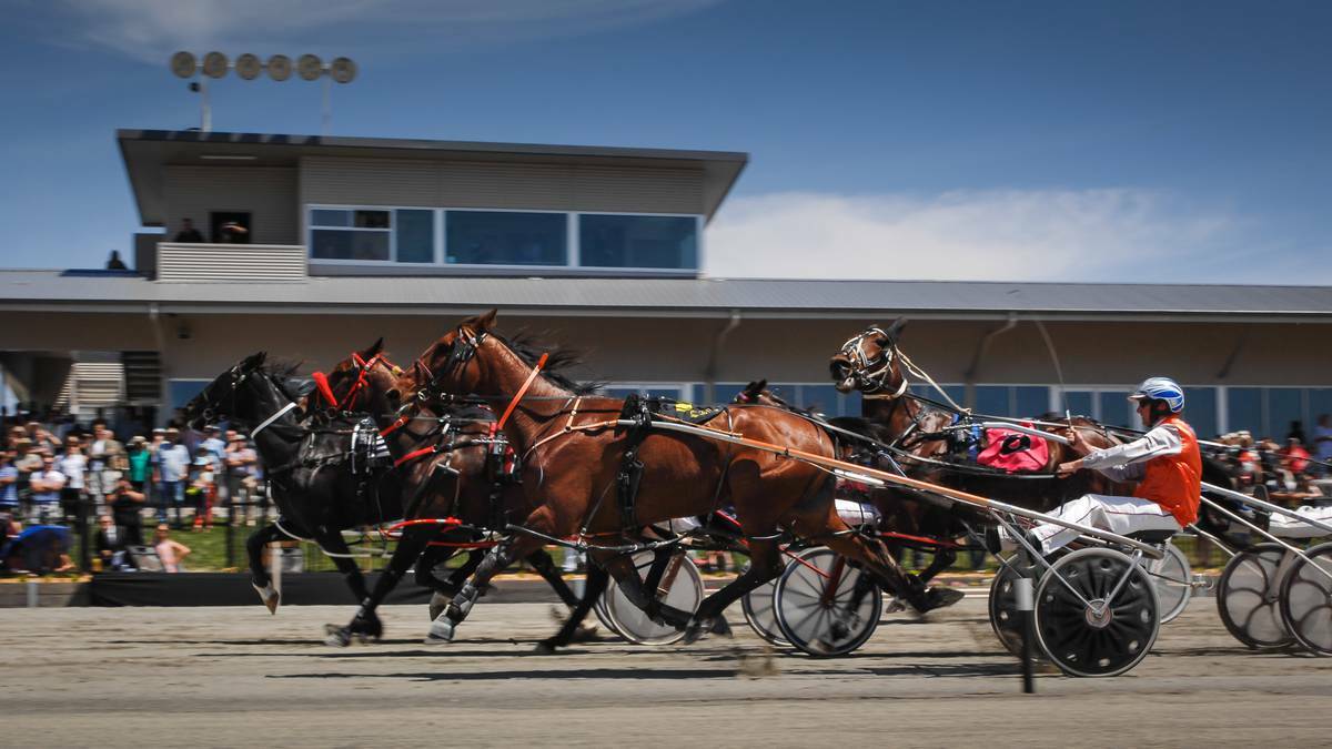 ON HOLD: On Sunday the opening of the new Bathurst Paceway was celebrated with a 10-race meeting. Just days later a meet has been called off due to problems with the track surface.