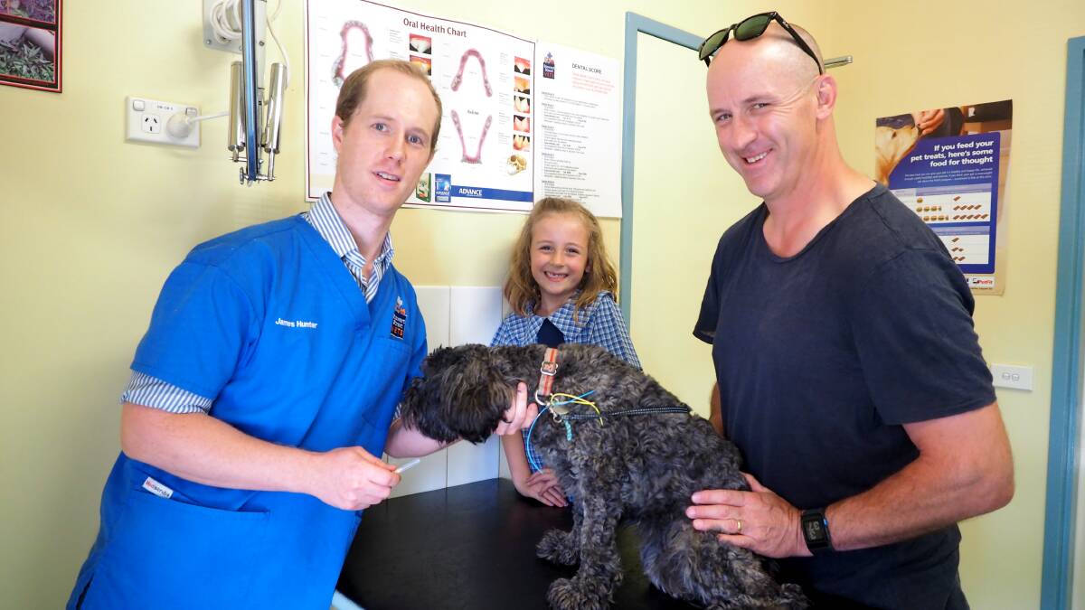 SAVING LIVES: Veterinarian Dr James Hunter gives Cookie the Cavoodle her vaccination to prevent against kennel cough. They are pictured with Claudia, 6, and Matt McRobert. Photo: ZENIO LAPKA 102714zcough1