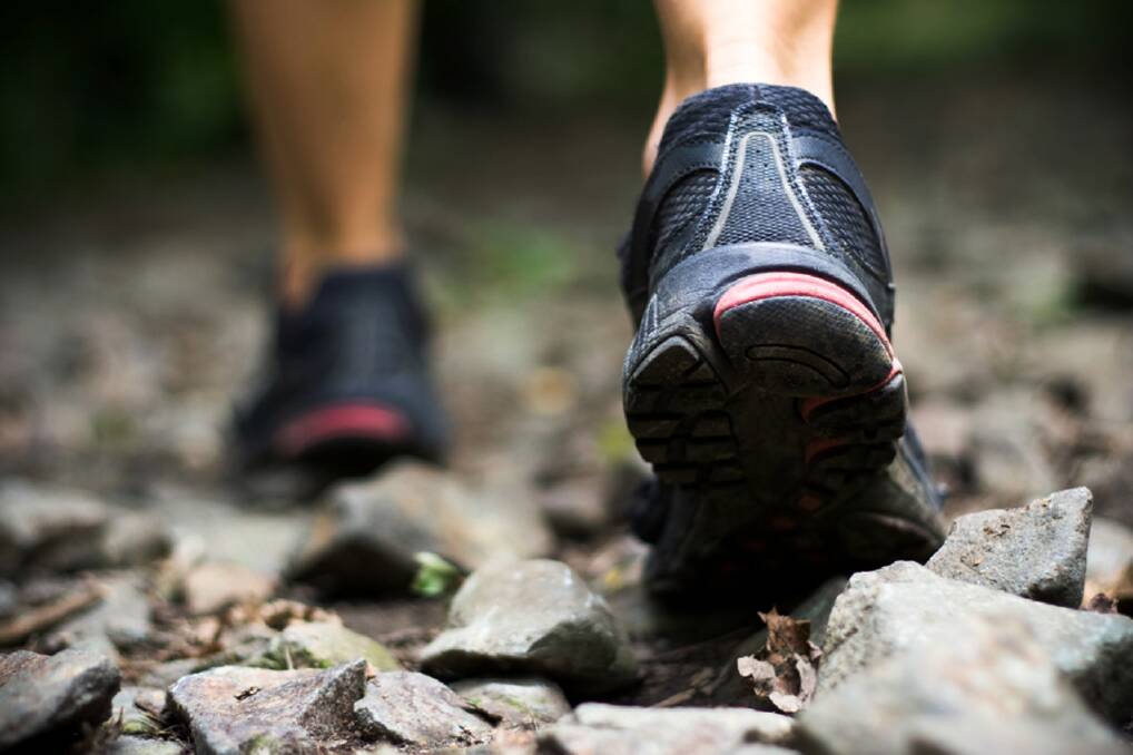 WHAT'S ON: Central West Bushwalking Club hit the track this weekend. 