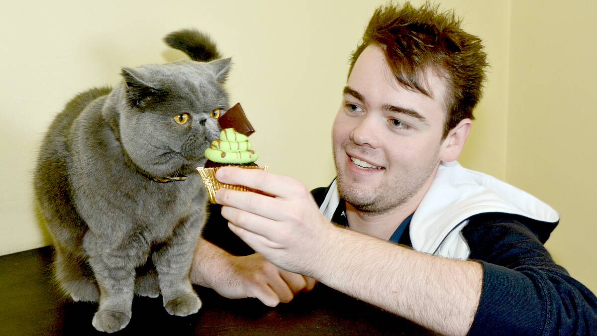 FUNDRAISER: The Stewart Street Vet staff will be at the Bathurst City Centre this Saturday selling cupcakes to support the RSPCA. 