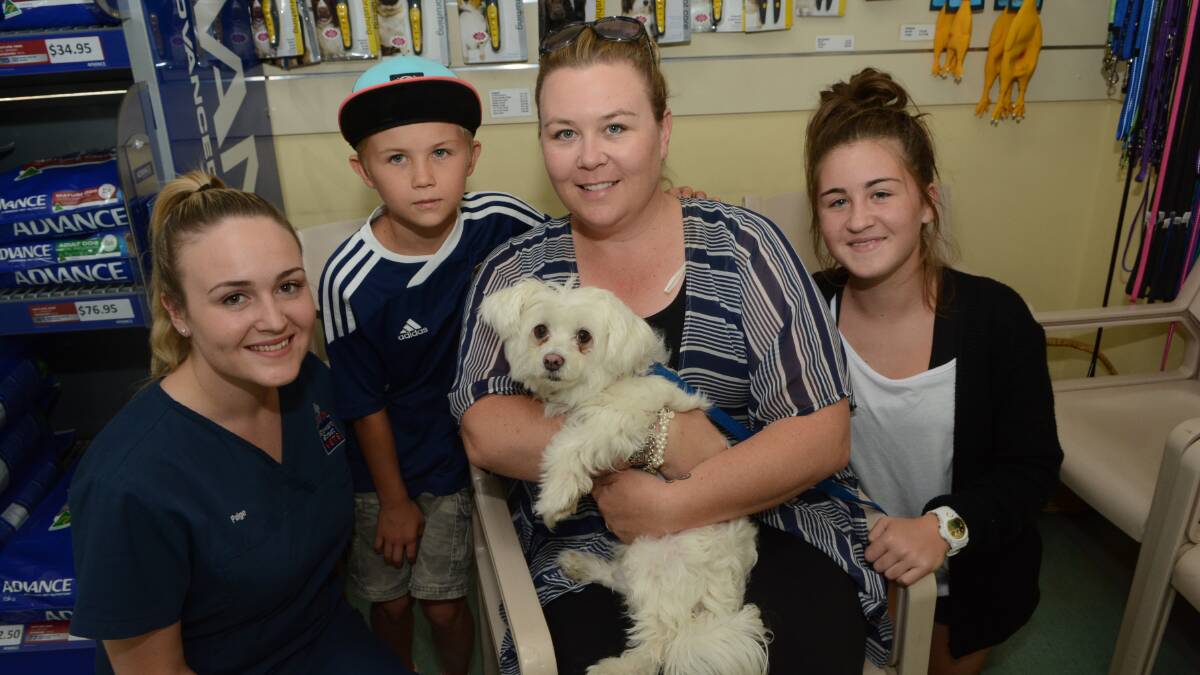 LOST AND FOUND: Stewart Street Veterinary Hospital nurse Paige Adams (far left) helped reunited Cupcake with her owners, Belinda Woods and her children Harrison, 9, and Courtney, 14.
Photo: PHILL MURRAY	 012215plost