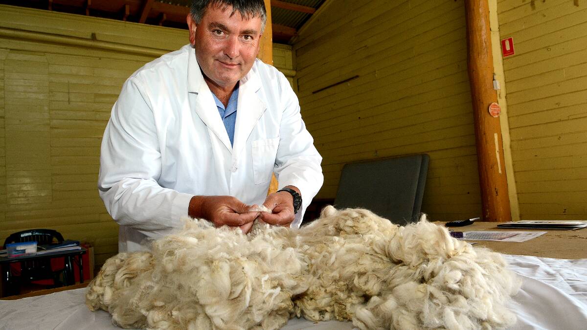 FINEST FLEECE: Alpaca fleece judge Andrew Munn is one of many to judge some of Bathurst's finest produce at this year’s Royal Bathurst Show. Photo: PHILL MURRAY 	042914pshow3