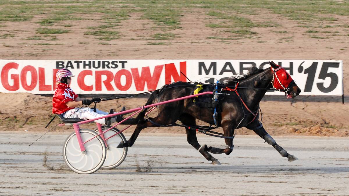 NO FEAR: Lauren Panella flashes away on Fearless Leader in yesterday’s Kriden Park Pace (2,260m), winning the day’s feature event in a track record mile rate. Photo: ZENIO LAPKA 	101914zrace8