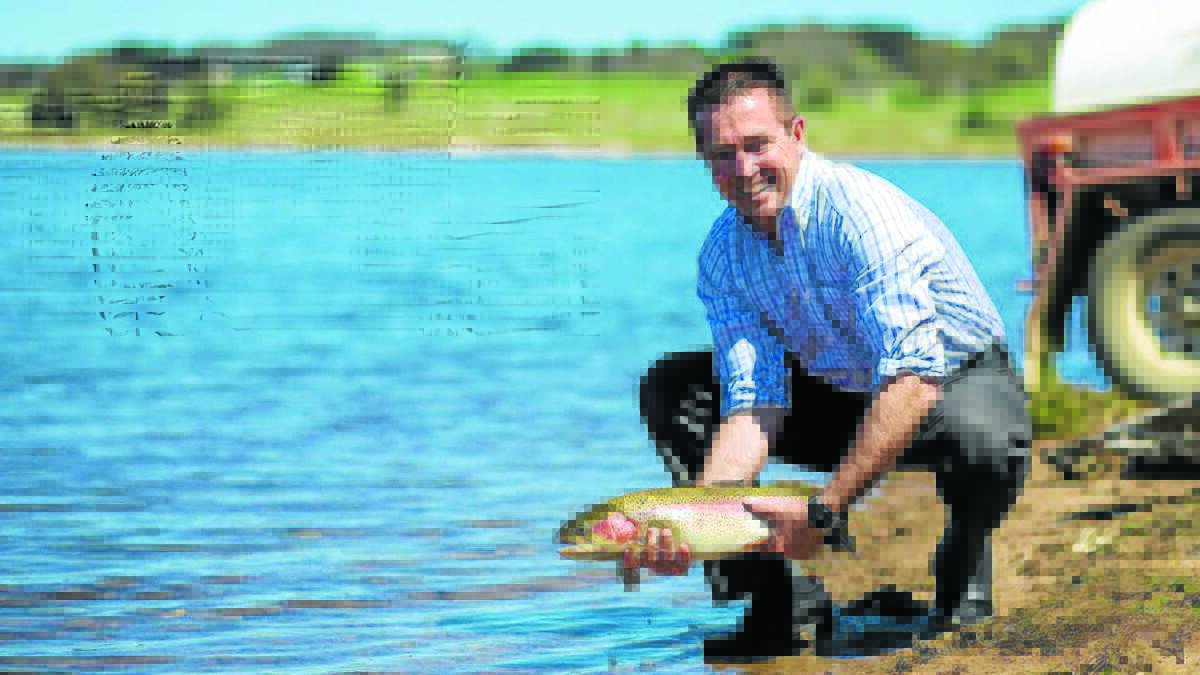 GOOD CATCH: Bathurst MP Paul Toole releasing some impressive rainbow trout into Lake Oberon earlier this week.	 072014trout