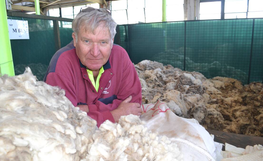 SENSATIONAL CLAIMS: Former shearing contractor Peter Healey is still active in the industry and says the People for the Ethical Treatment of Animals (PETA) campaign claiming shearers treat sheep badly is nothing but a sensational advertising campaign that is way off the mark. Photo: BRIAN WOOD 	 041515wool1