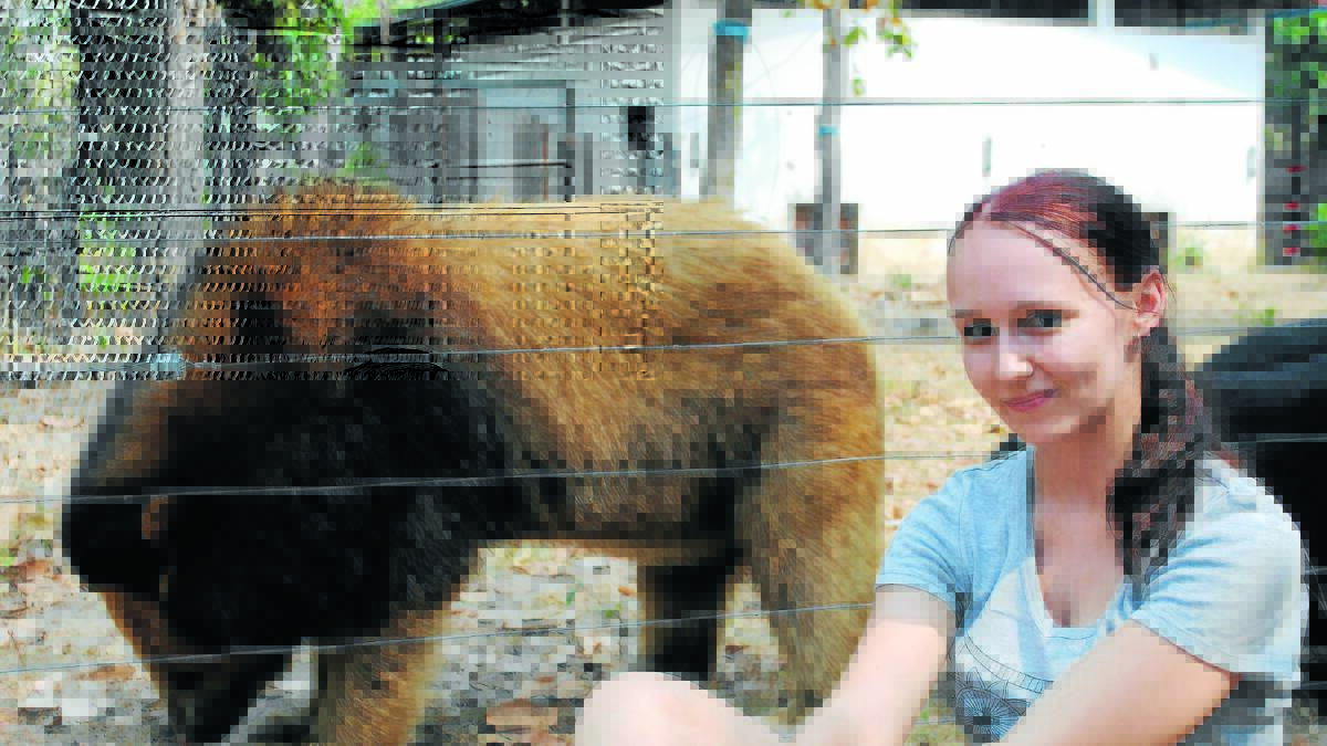 BEARY GOOD FUN: Lauren Hush enjoyed two weeks of hard work at the Free the Bears sanctuary in Cambodia. Photo: SUPPLIED	 030315hush