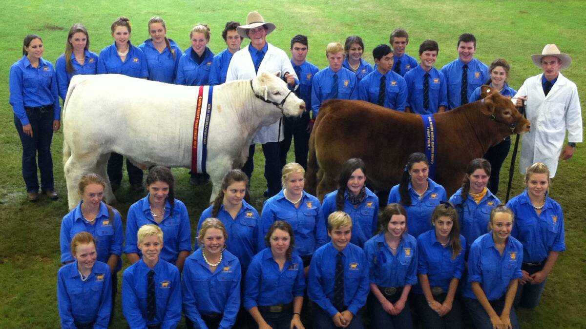 WINNERS: The Scots School students and cattle handlers Henry Quant (with a charolais from Violet Hills Charolais in Rydal) and Robbie Hayward (with a limousin from Avonwood Limousins in Blayney) won many awards at this year’s Sydney Royal. 	041614scots2